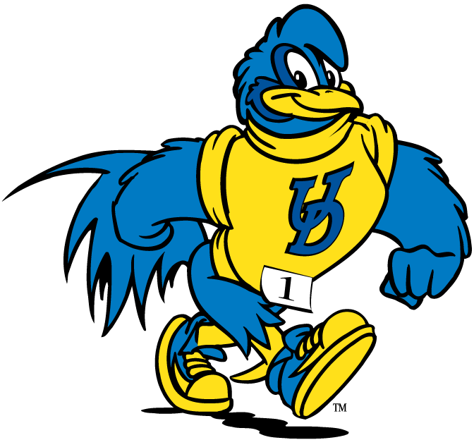 delaware blue hens 1993-pres mascot logo t shirts DIY iron ons v3